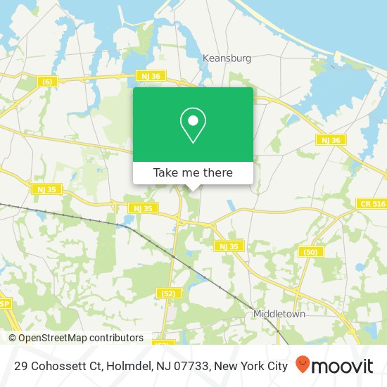 29 Cohossett Ct, Holmdel, NJ 07733 map