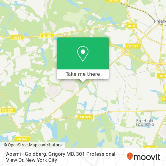 Aosmi - Goldberg, Grigory MD, 301 Professional View Dr map