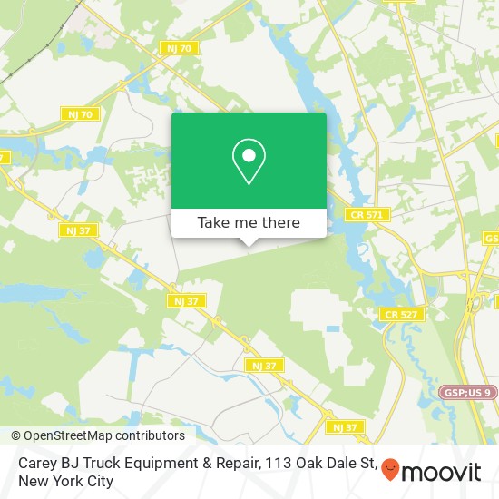 Mapa de Carey BJ Truck Equipment & Repair, 113 Oak Dale St