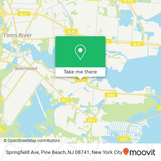 Mapa de Springfield Ave, Pine Beach, NJ 08741