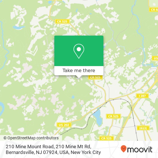 Mapa de 210 Mine Mount Road, 210 Mine Mt Rd, Bernardsville, NJ 07924, USA