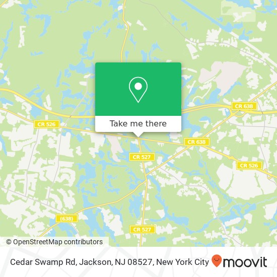 Cedar Swamp Rd, Jackson, NJ 08527 map