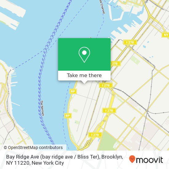 Bay Ridge Ave (bay ridge ave / Bliss Ter), Brooklyn, NY 11220 map