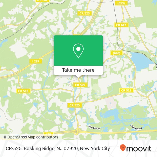 Mapa de CR-525, Basking Ridge, NJ 07920