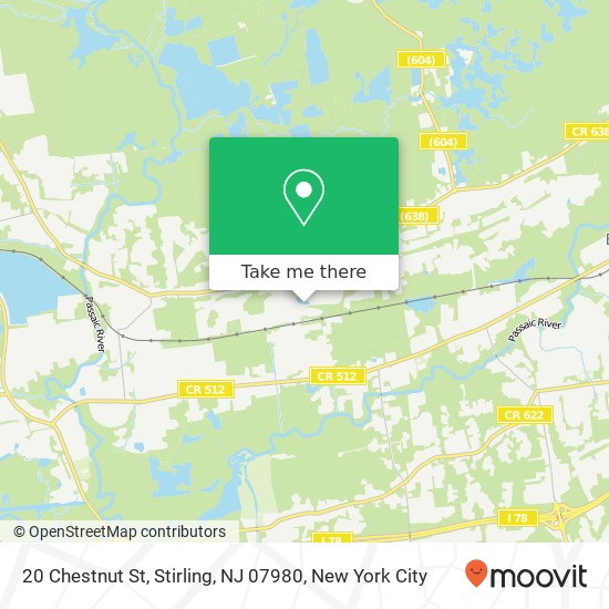 20 Chestnut St, Stirling, NJ 07980 map