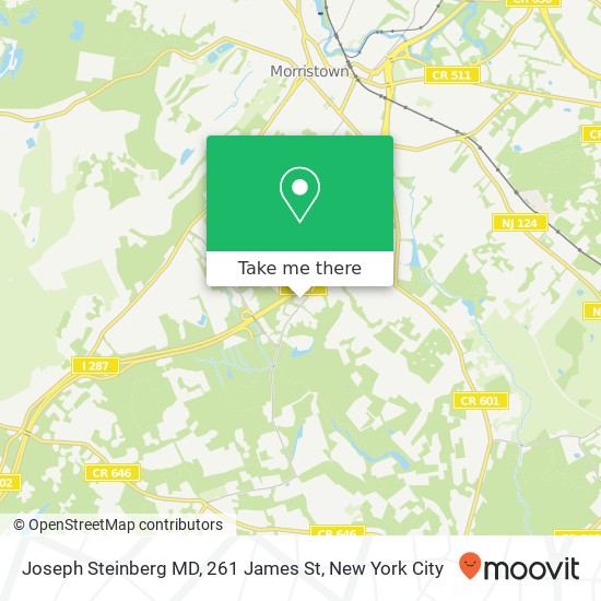 Mapa de Joseph Steinberg MD, 261 James St