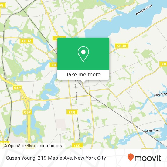 Mapa de Susan Young, 219 Maple Ave