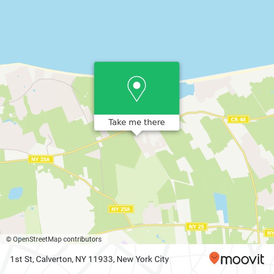 Mapa de 1st St, Calverton, NY 11933