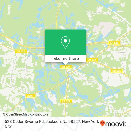 528 Cedar Swamp Rd, Jackson, NJ 08527 map