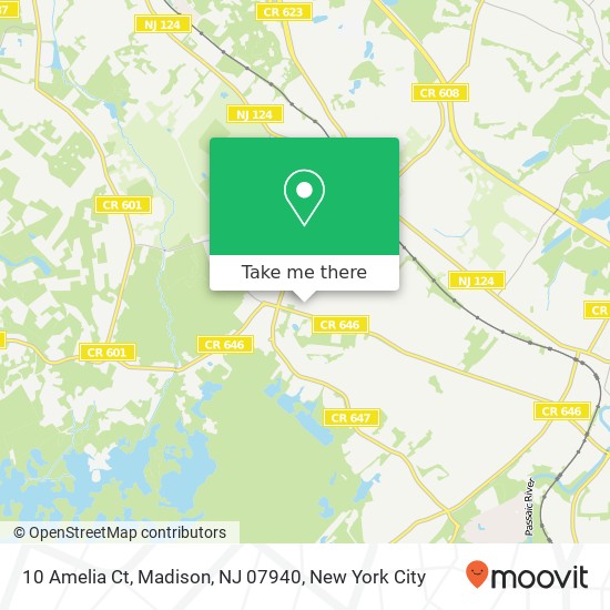 Mapa de 10 Amelia Ct, Madison, NJ 07940