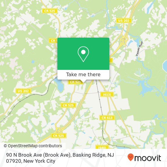 90 N Brook Ave (Brook Ave), Basking Ridge, NJ 07920 map