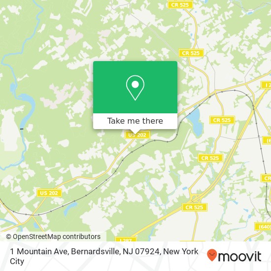 1 Mountain Ave, Bernardsville, NJ 07924 map