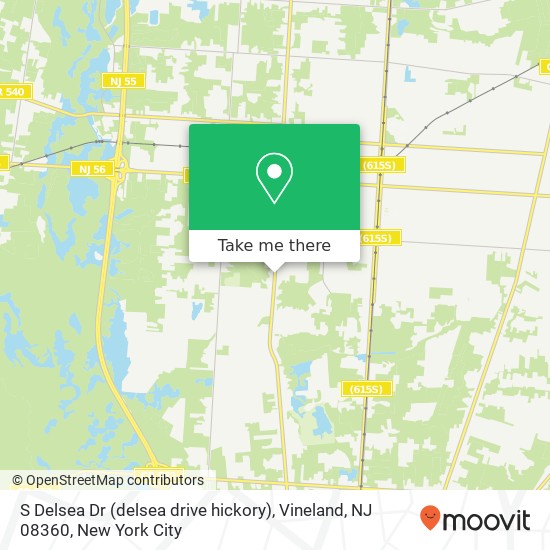 Mapa de S Delsea Dr (delsea drive hickory), Vineland, NJ 08360