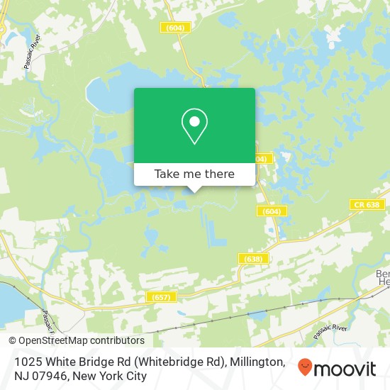 Mapa de 1025 White Bridge Rd (Whitebridge Rd), Millington, NJ 07946