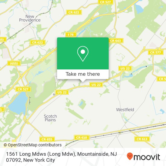 1561 Long Mdws (Long Mdw), Mountainside, NJ 07092 map