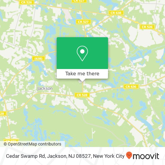 Cedar Swamp Rd, Jackson, NJ 08527 map