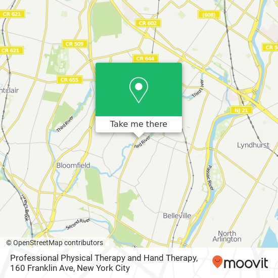 Professional Physical Therapy and Hand Therapy, 160 Franklin Ave map