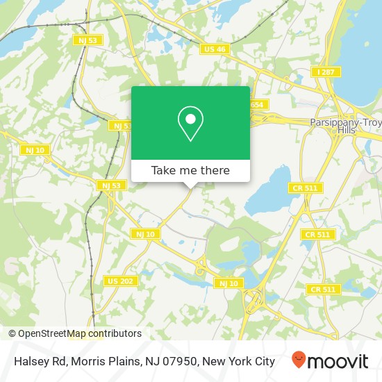 Halsey Rd, Morris Plains, NJ 07950 map
