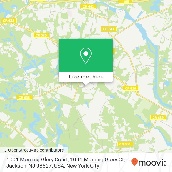 Mapa de 1001 Morning Glory Court, 1001 Morning Glory Ct, Jackson, NJ 08527, USA