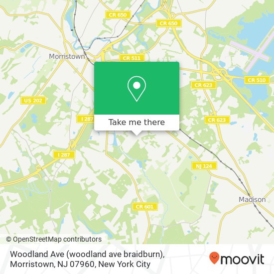 Mapa de Woodland Ave (woodland ave braidburn), Morristown, NJ 07960