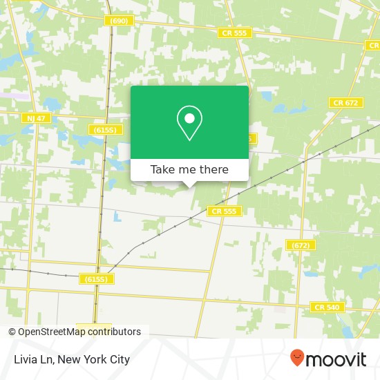Livia Ln, Vineland (EAST VINELAND), NJ 08360 map