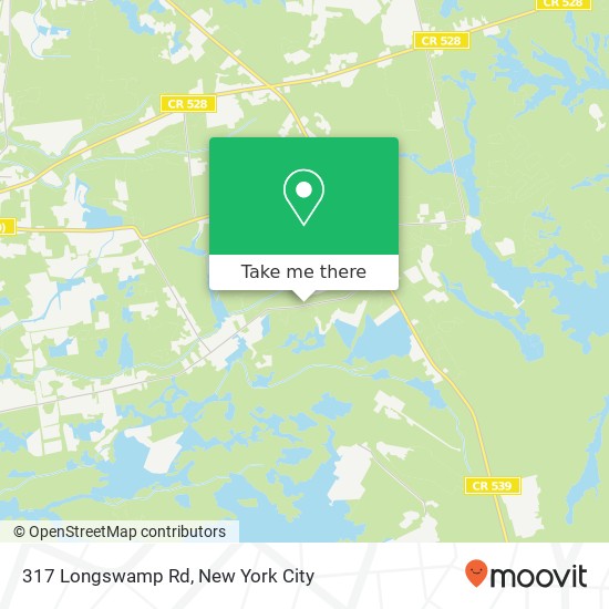 Mapa de 317 Longswamp Rd, New Egypt, NJ 08533