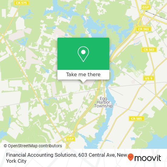 Financial Accounting Solutions, 603 Central Ave map