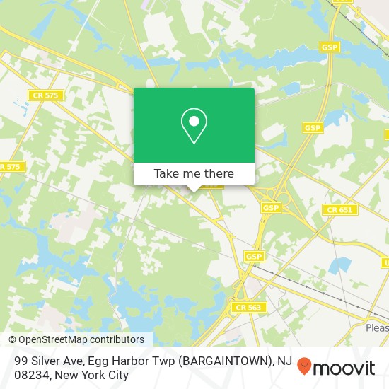 Mapa de 99 Silver Ave, Egg Harbor Twp (BARGAINTOWN), NJ 08234