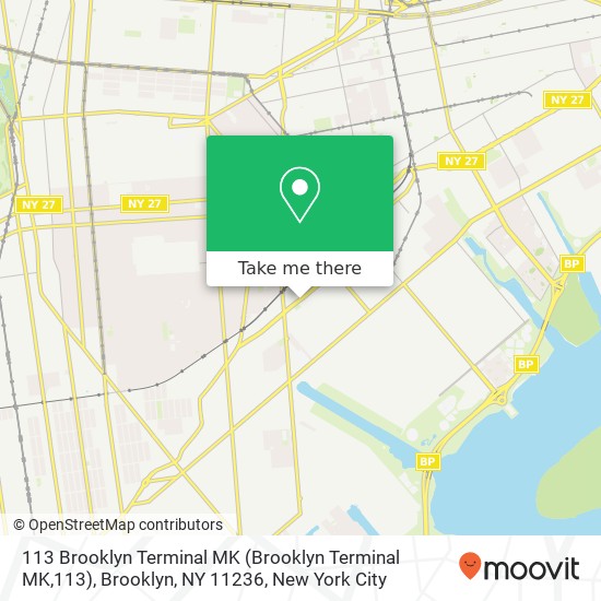 Mapa de 113 Brooklyn Terminal MK (Brooklyn Terminal MK,113), Brooklyn, NY 11236