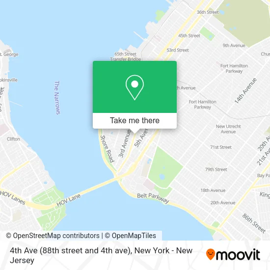 4th Ave (88th street and 4th ave) map