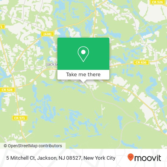 5 Mitchell Ct, Jackson, NJ 08527 map