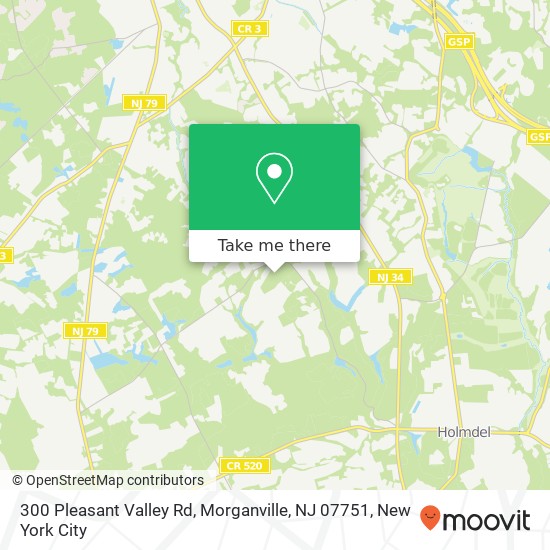 Mapa de 300 Pleasant Valley Rd, Morganville, NJ 07751