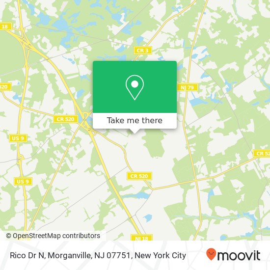 Mapa de Rico Dr N, Morganville, NJ 07751
