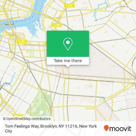 Mapa de Tom Feelings Way, Brooklyn, NY 11216