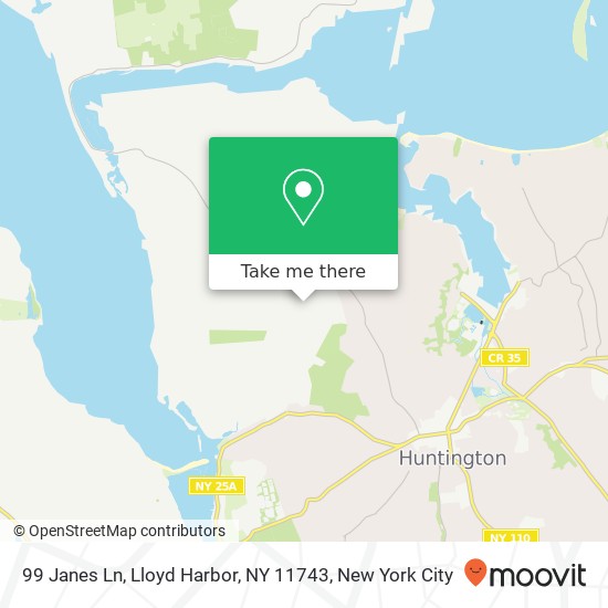 Mapa de 99 Janes Ln, Lloyd Harbor, NY 11743