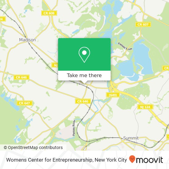 Mapa de Womens Center for Entrepreneurship, 311 Main St