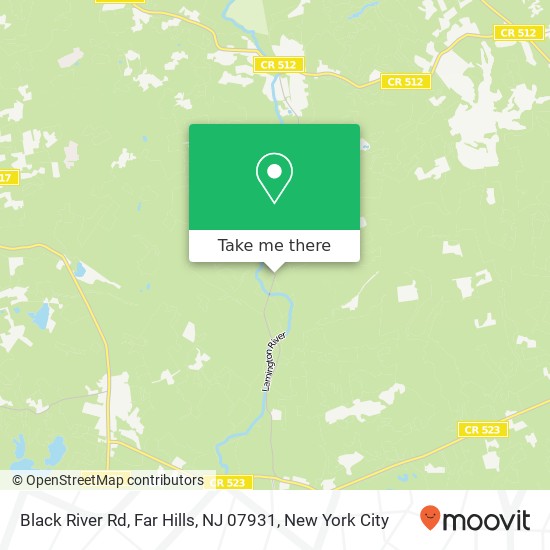 Black River Rd, Far Hills, NJ 07931 map