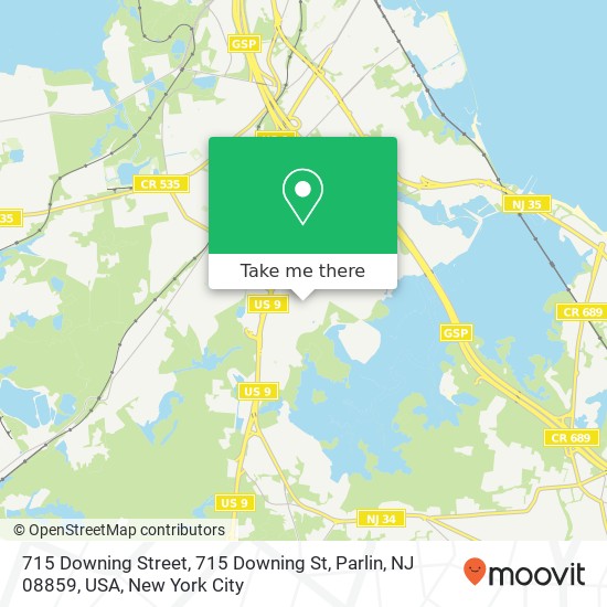 Mapa de 715 Downing Street, 715 Downing St, Parlin, NJ 08859, USA