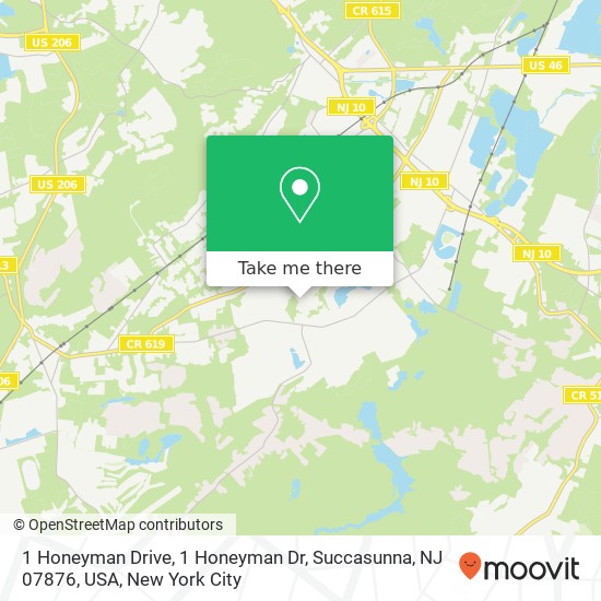 1 Honeyman Drive, 1 Honeyman Dr, Succasunna, NJ 07876, USA map