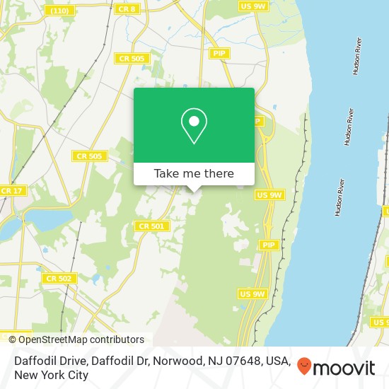 Mapa de Daffodil Drive, Daffodil Dr, Norwood, NJ 07648, USA