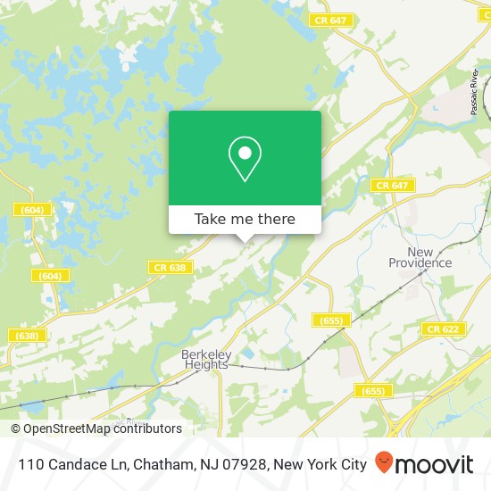 Mapa de 110 Candace Ln, Chatham, NJ 07928