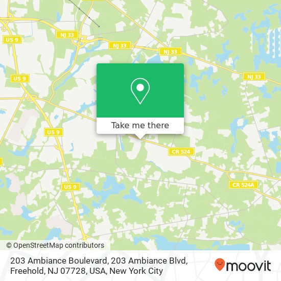 Mapa de 203 Ambiance Boulevard, 203 Ambiance Blvd, Freehold, NJ 07728, USA