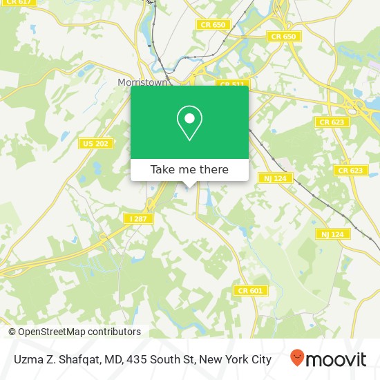 Uzma Z. Shafqat, MD, 435 South St map