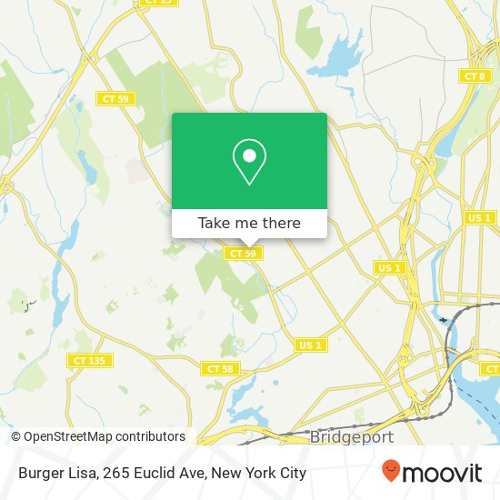 Burger Lisa, 265 Euclid Ave map