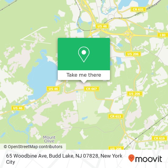 65 Woodbine Ave, Budd Lake, NJ 07828 map