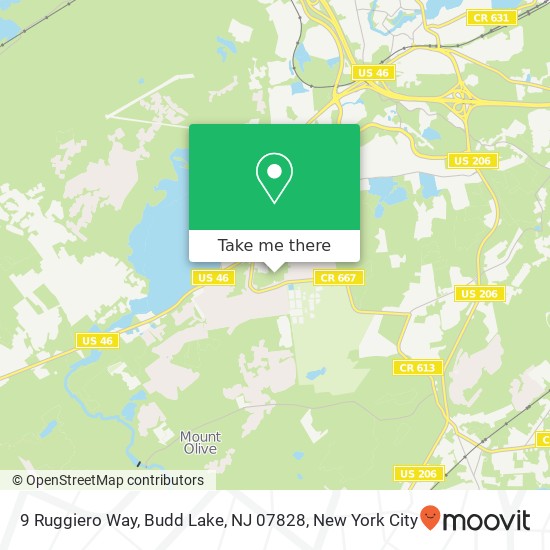 9 Ruggiero Way, Budd Lake, NJ 07828 map