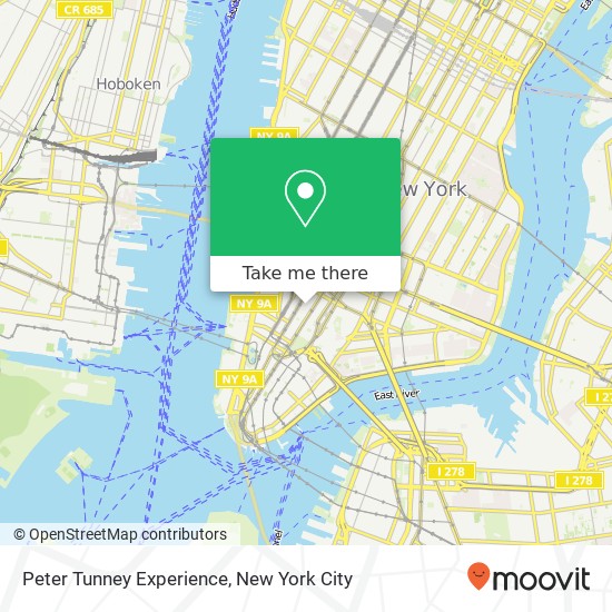 Peter Tunney Experience map