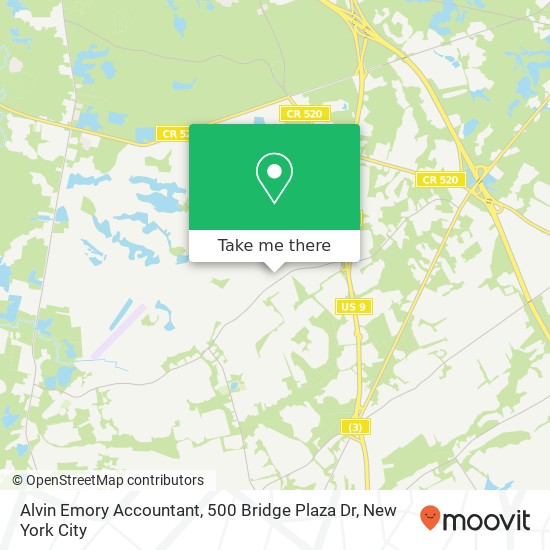 Mapa de Alvin Emory Accountant, 500 Bridge Plaza Dr