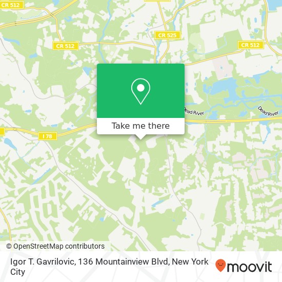 Igor T. Gavrilovic, 136 Mountainview Blvd map