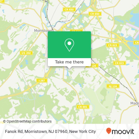 Mapa de Fanok Rd, Morristown, NJ 07960